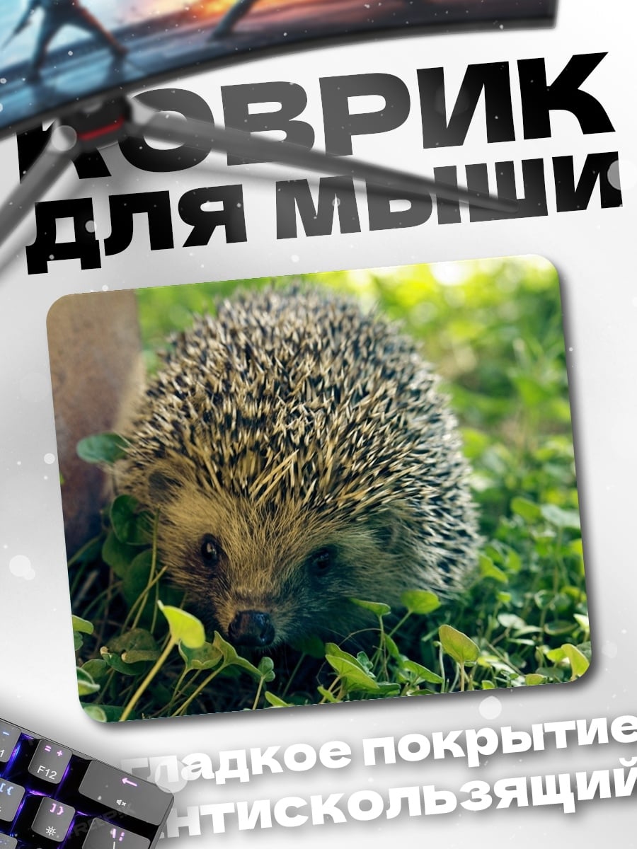 Коврик ёжик в траве