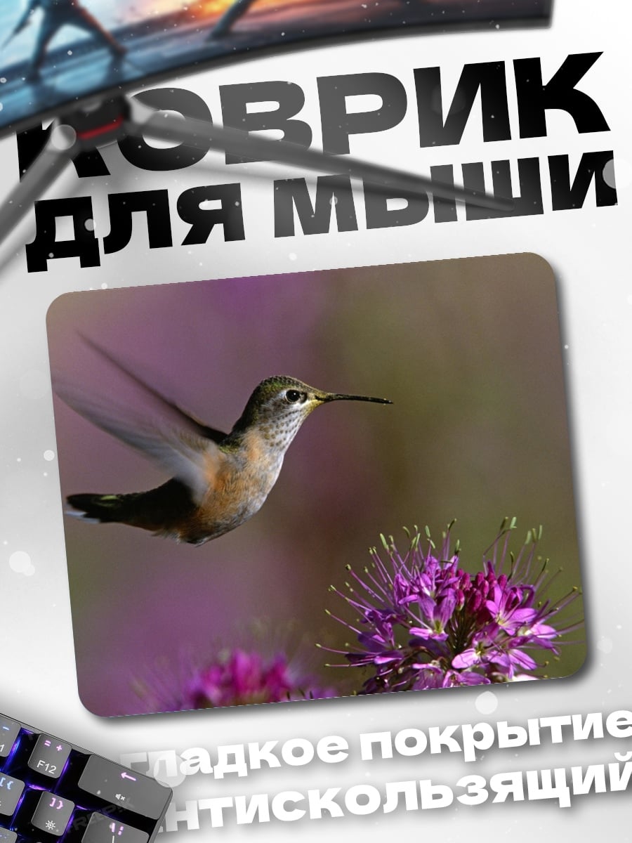 Коврик Колибри у цветка