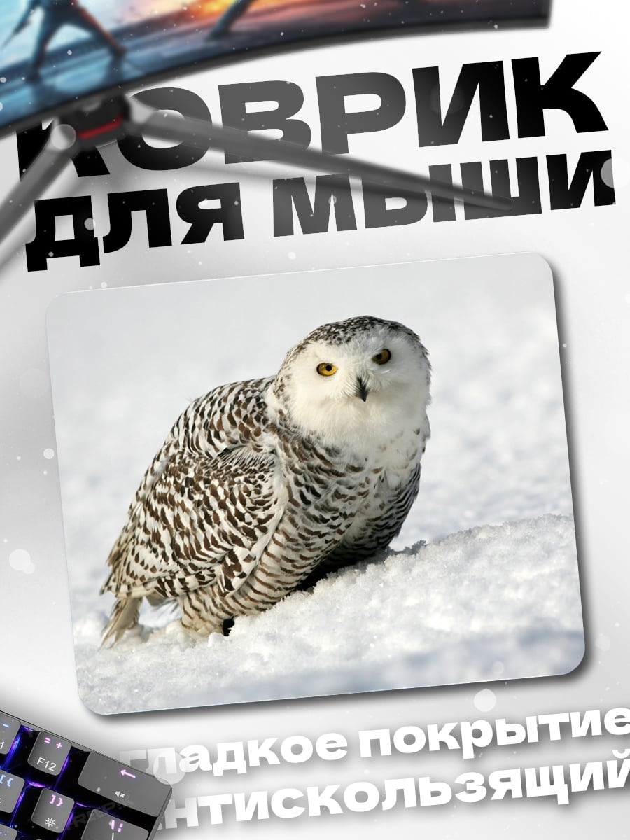 Коврик Белая сова