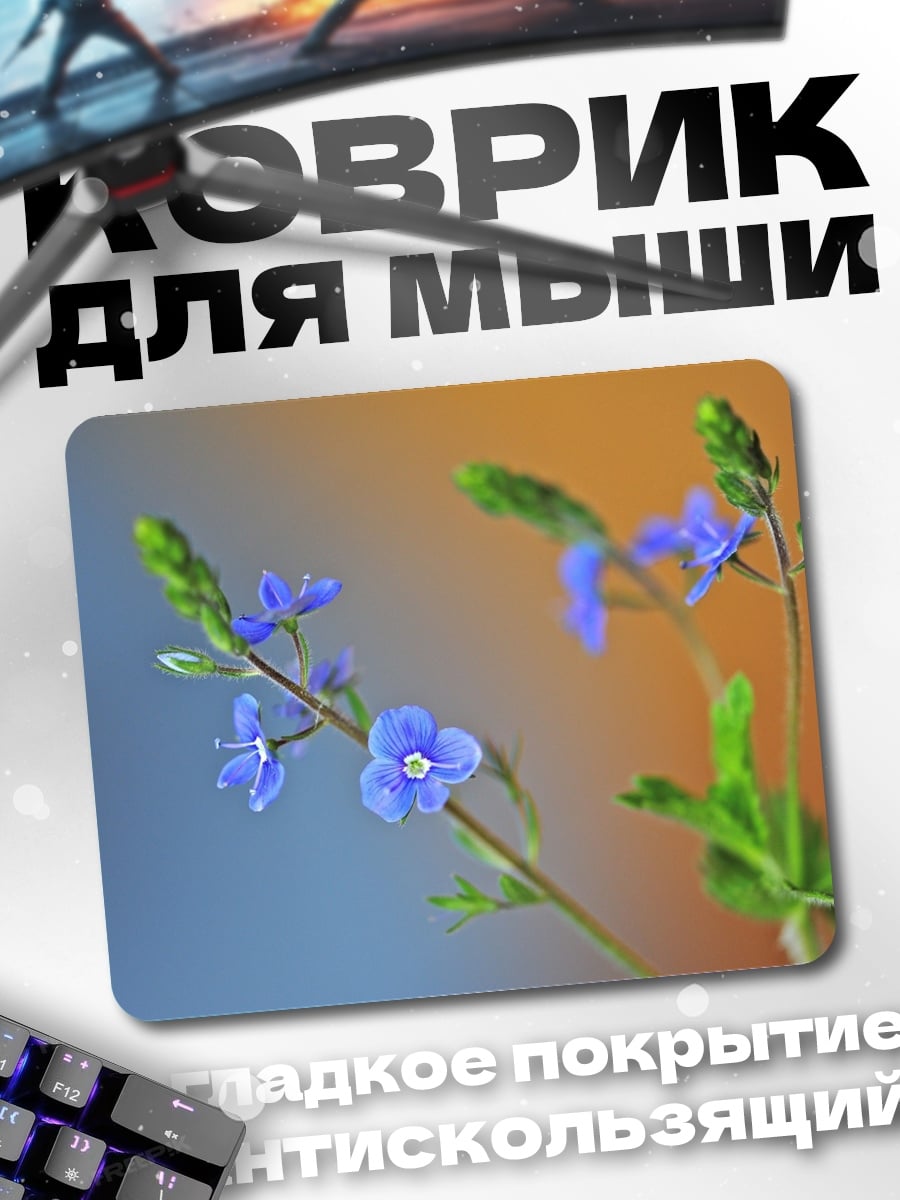 Коврик Синие полевые цветы