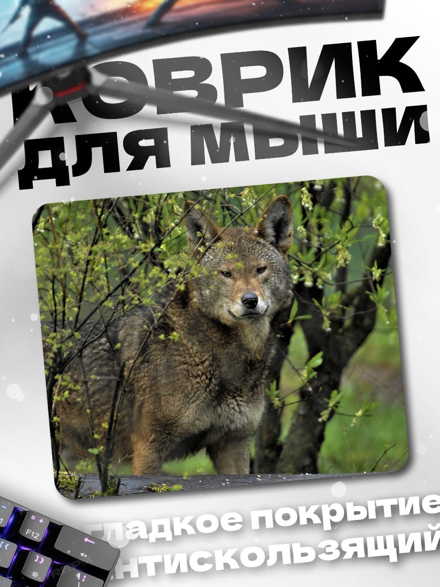 Коврик Дикий койот в лесу