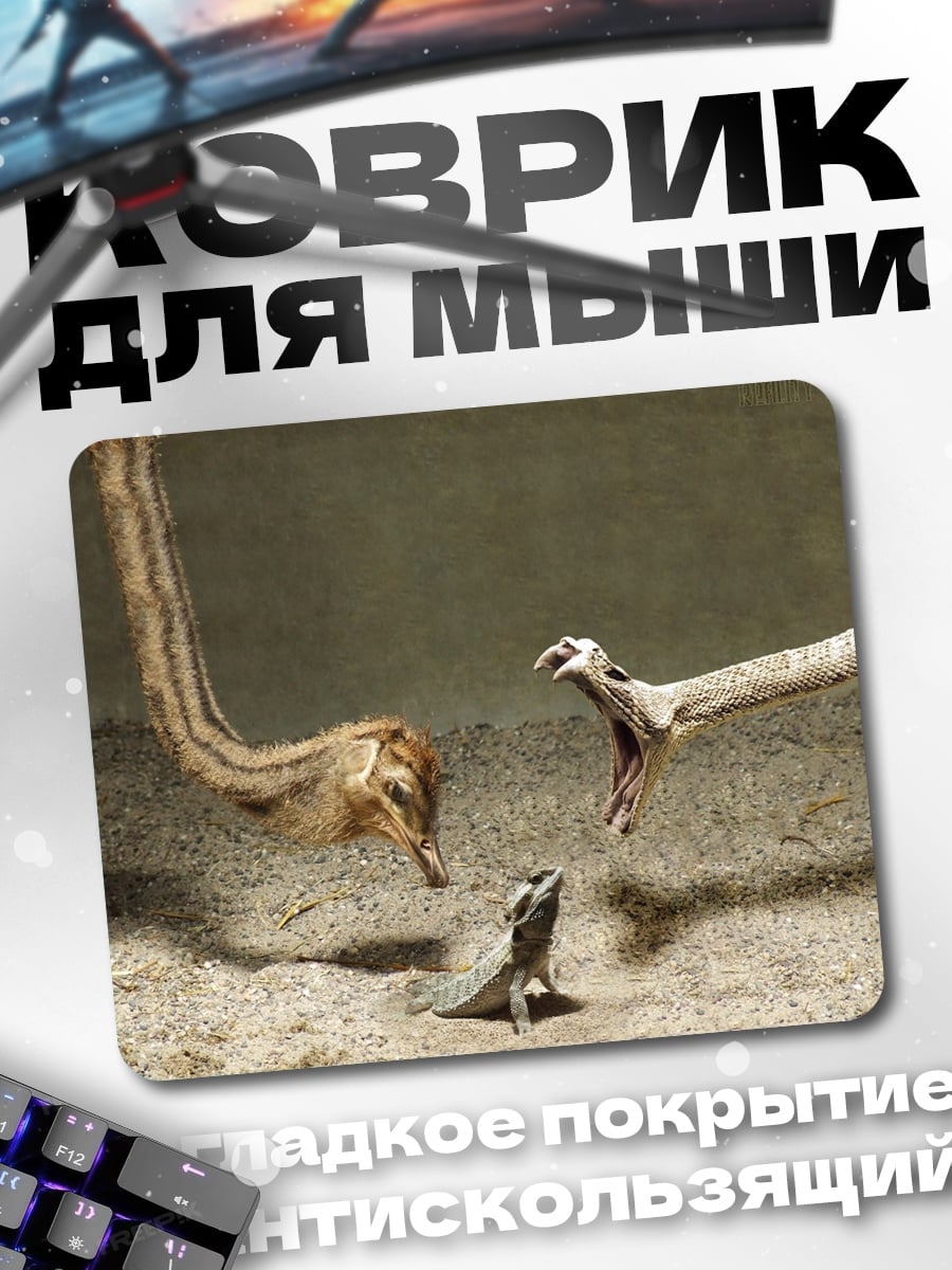 Коврик Белка и ящерица