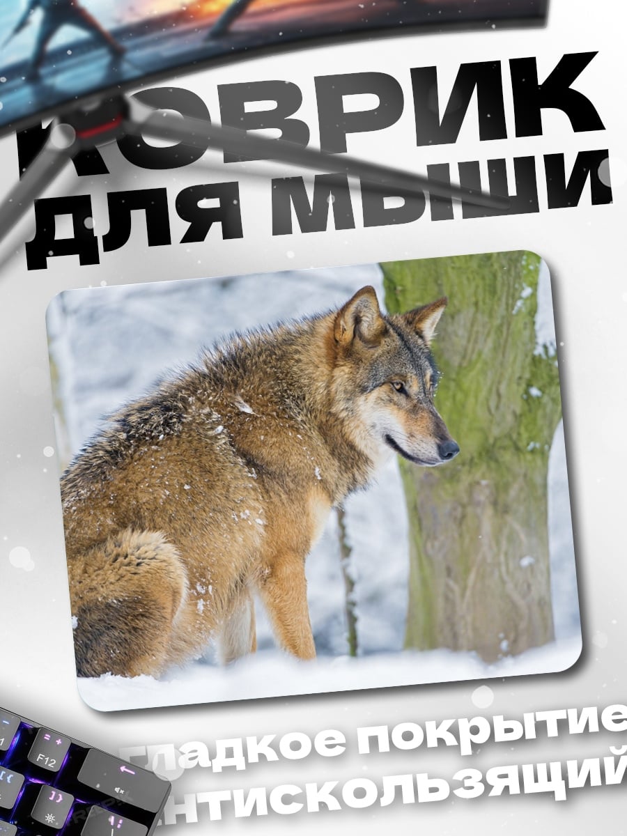 Коврик зимний волк в лесу