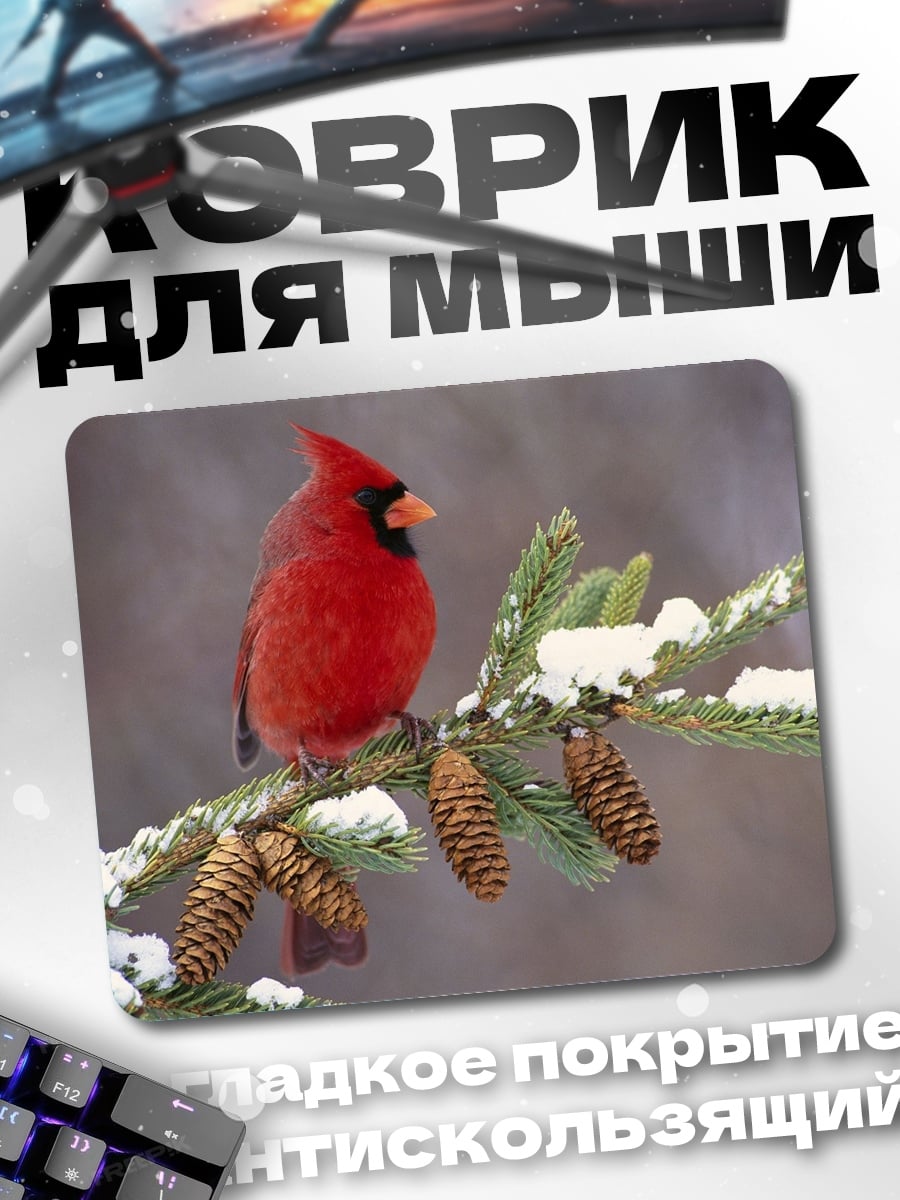 Коврик Красный кардинал