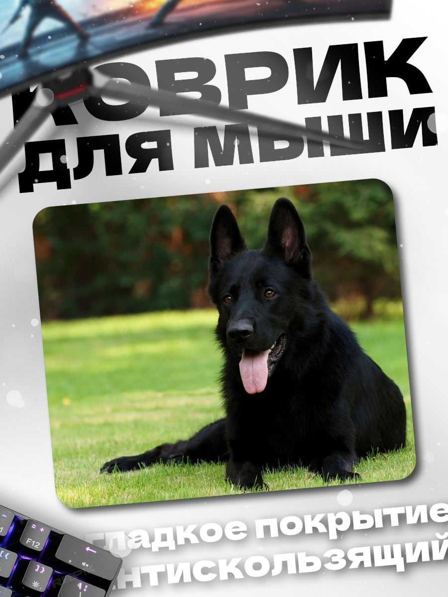 Коврик черный пес