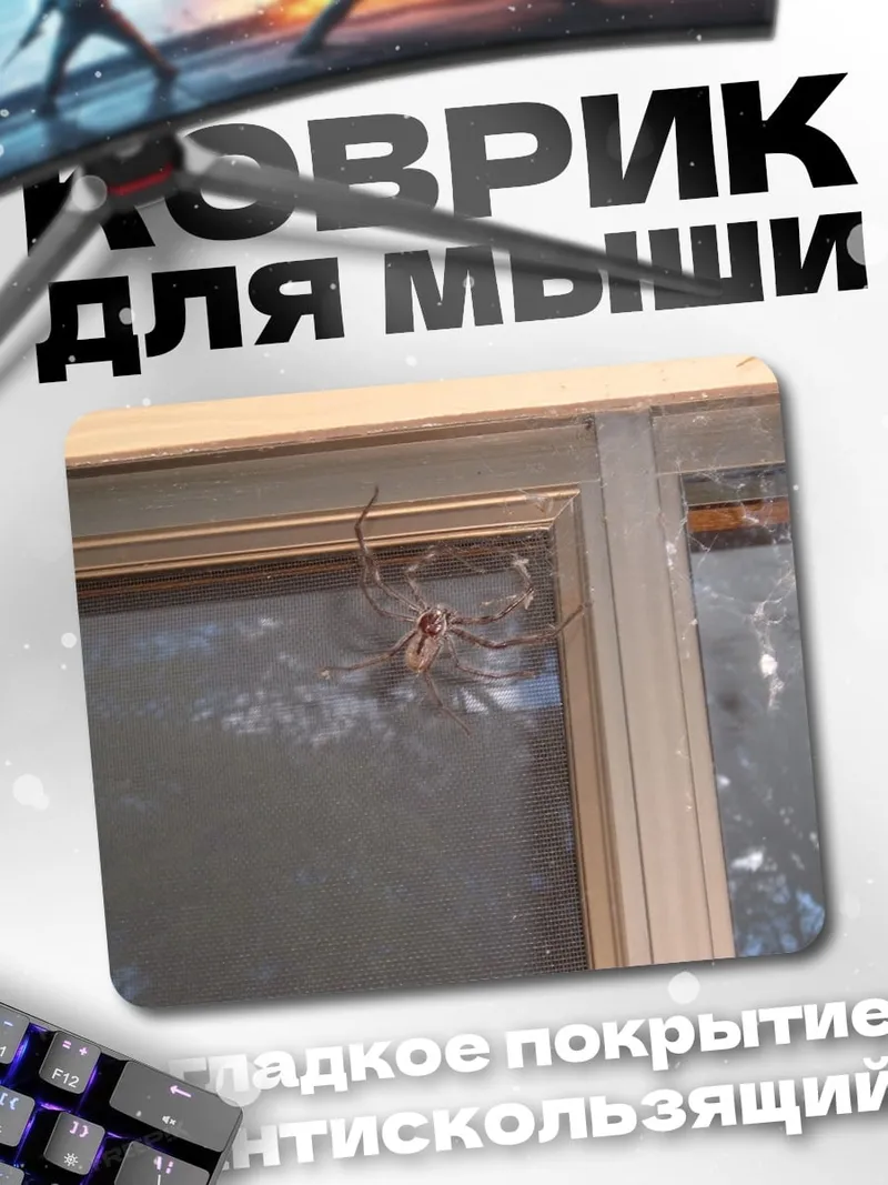 Коврик паук на окне
