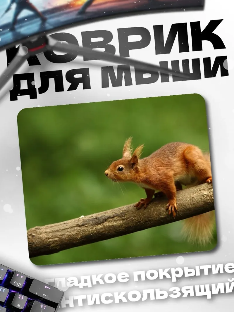 Коврик Белка на ветке