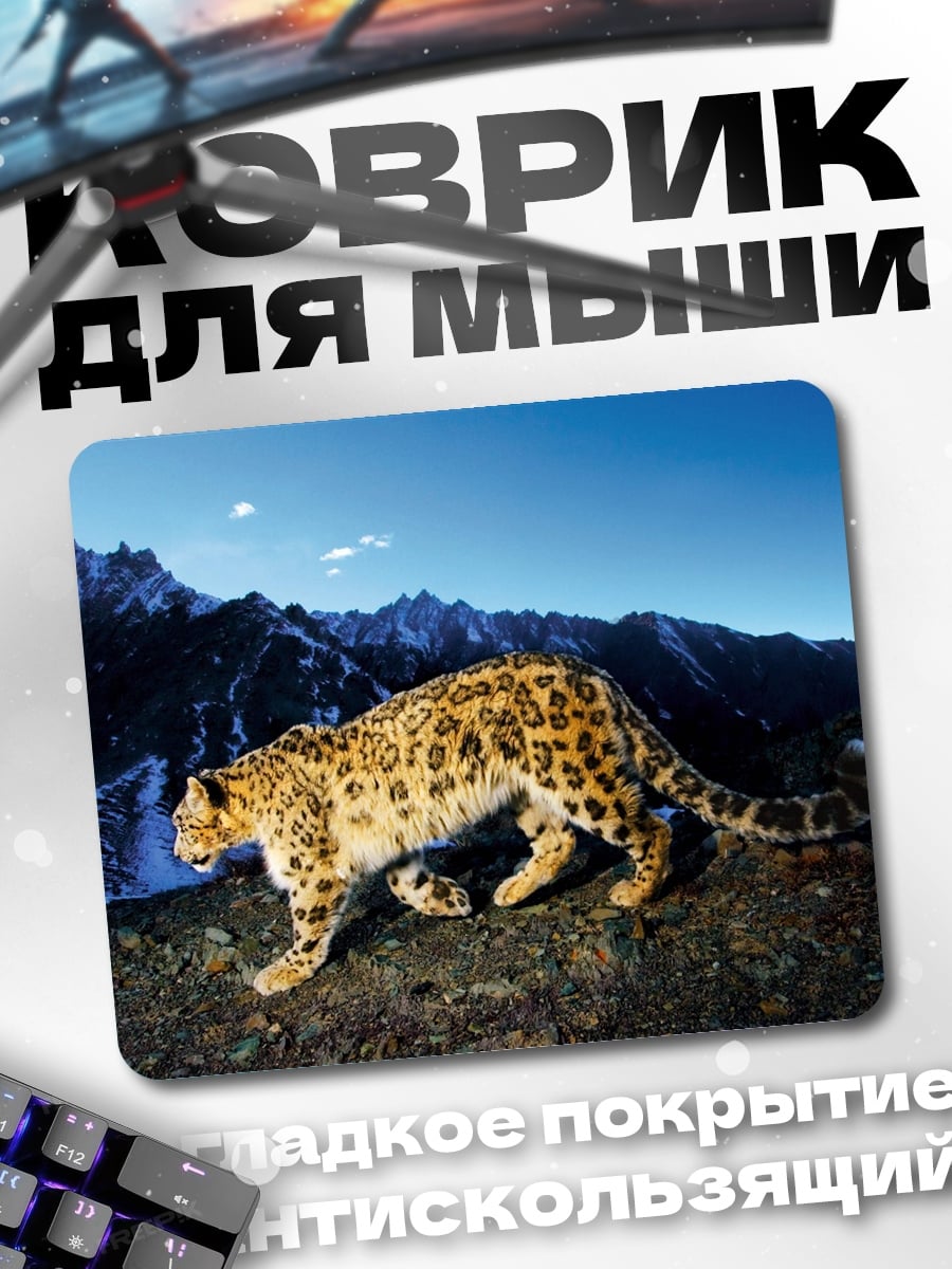 Коврик Снежный барс