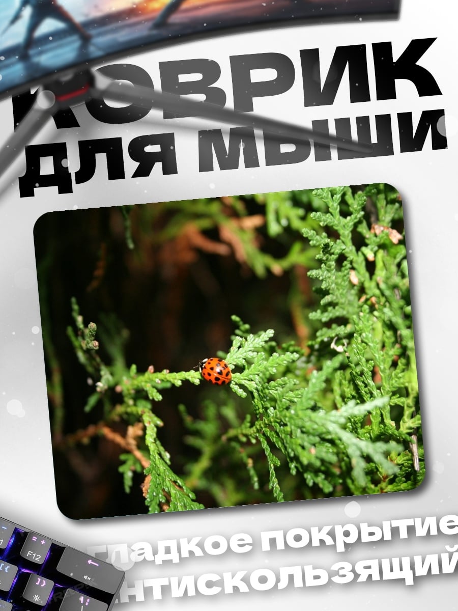 Коврик божья коровка ветка