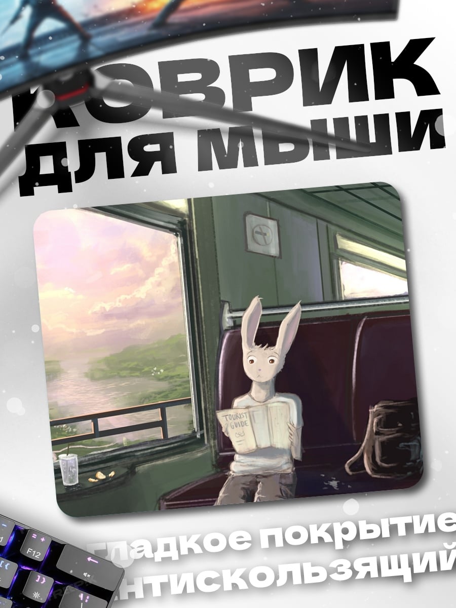 Коврик заяц в поезде