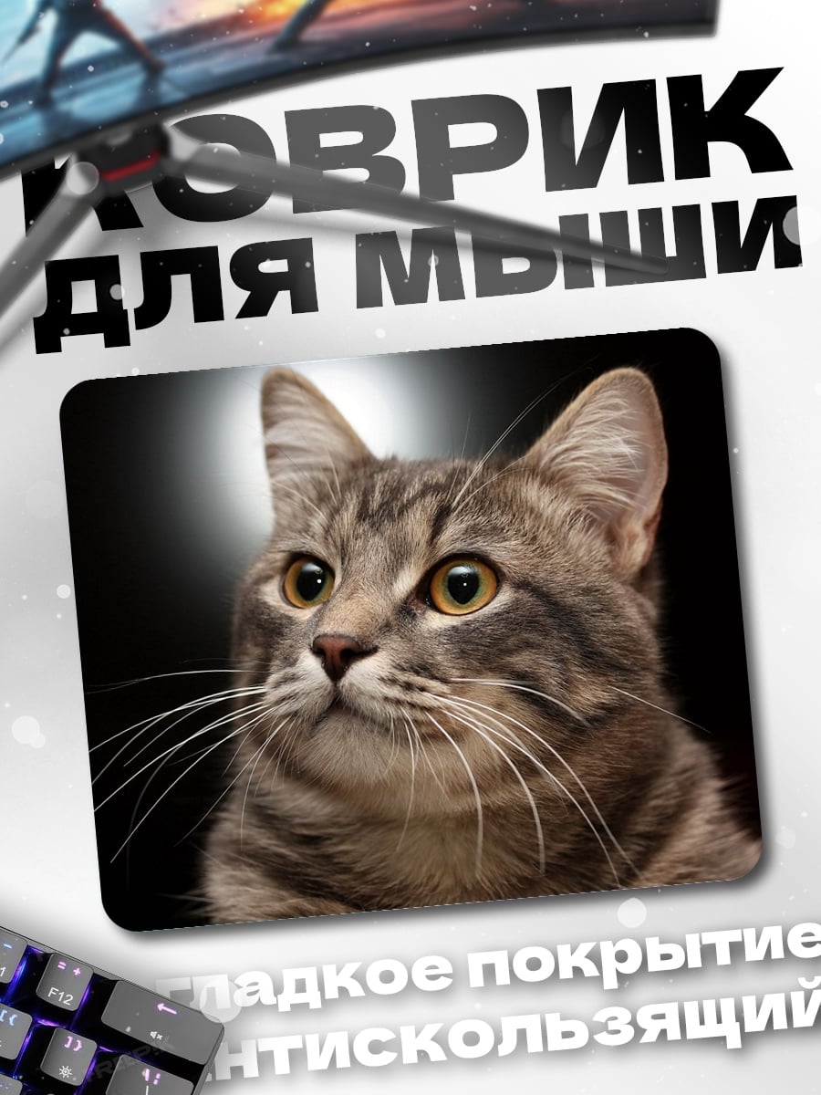 Коврик серый кот