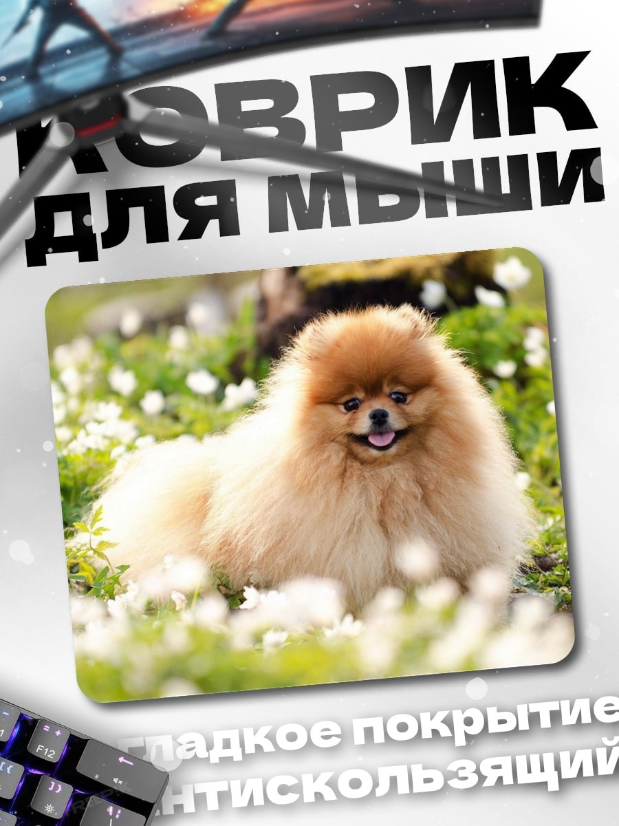 Коврик Шпиц в цветах
