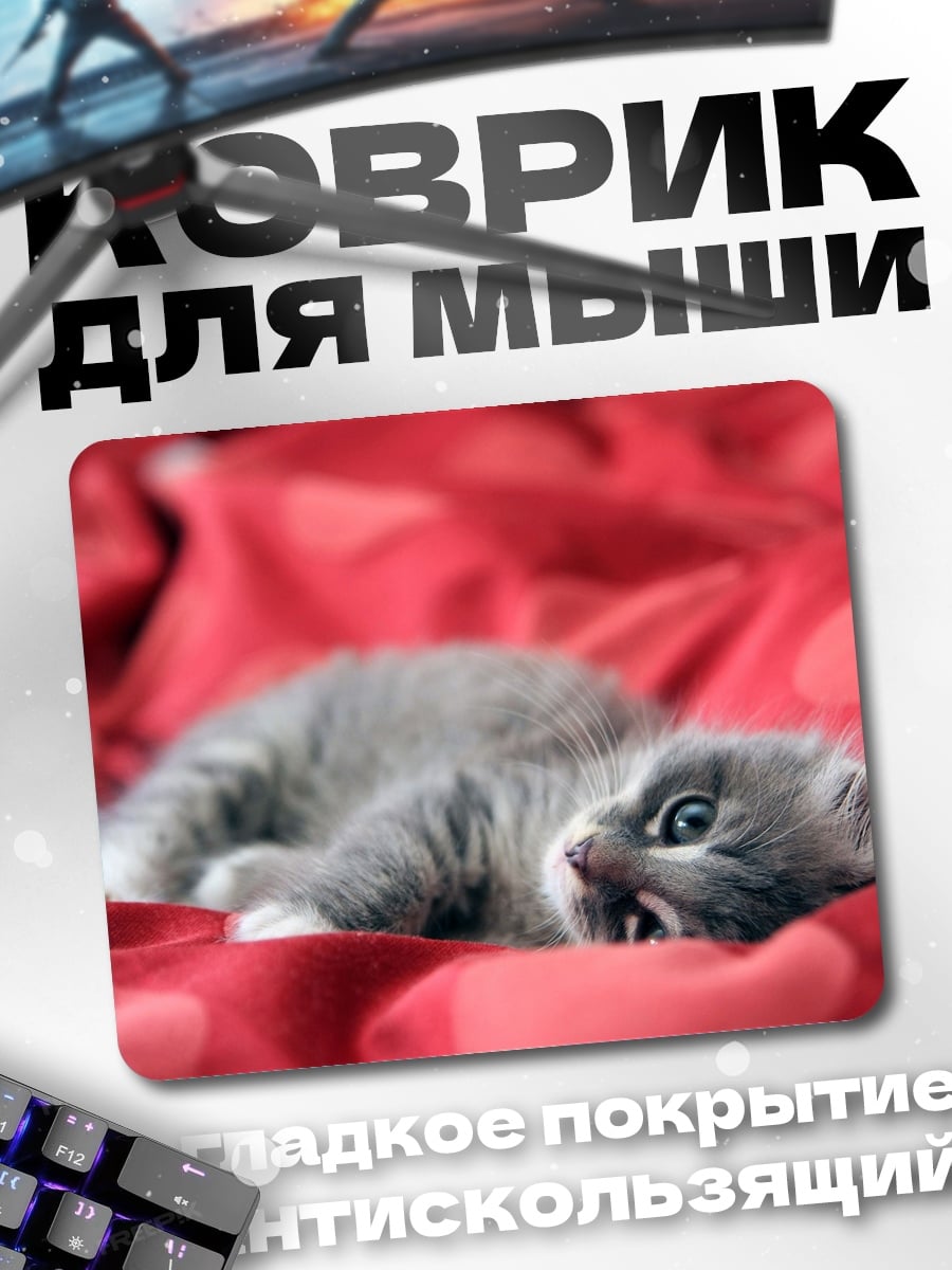 Коврик Серый котенок