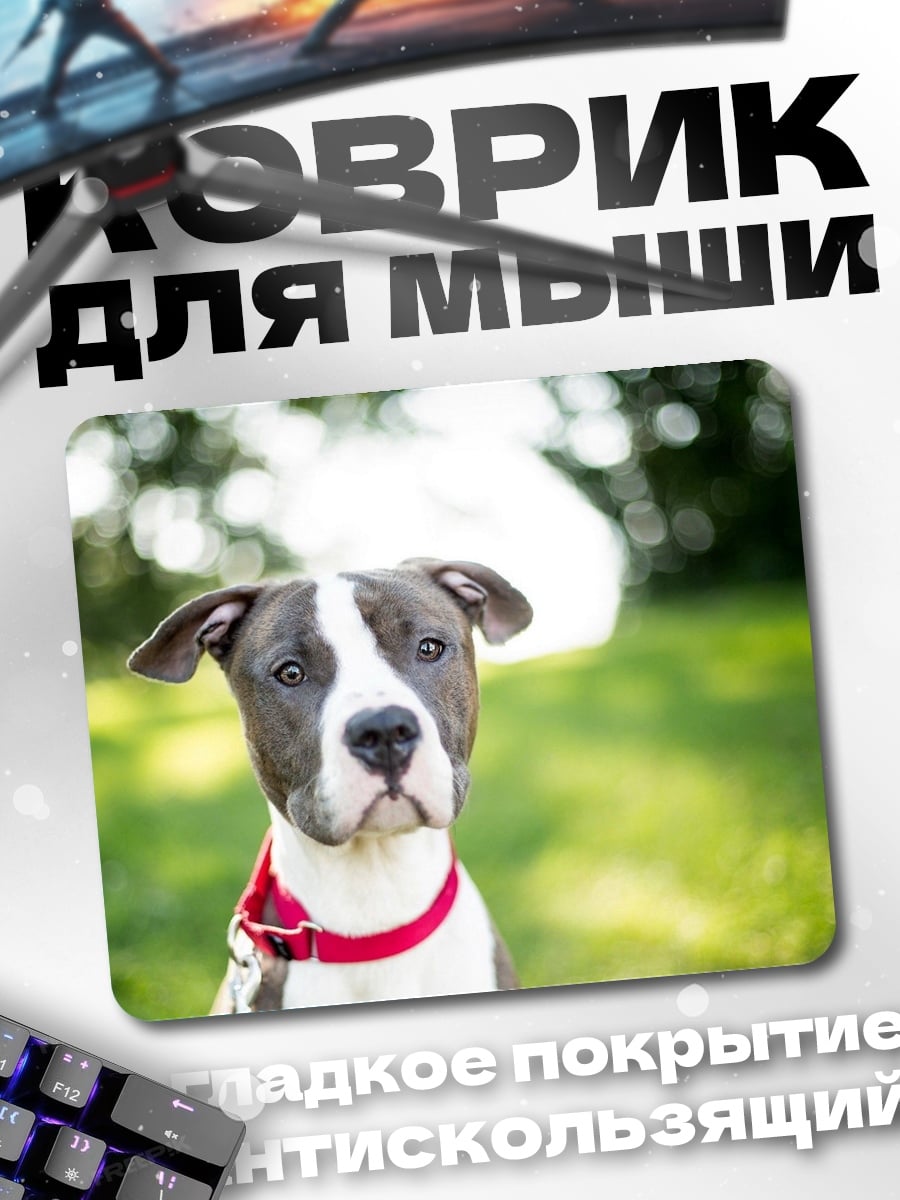 Коврик Питбуль на траве