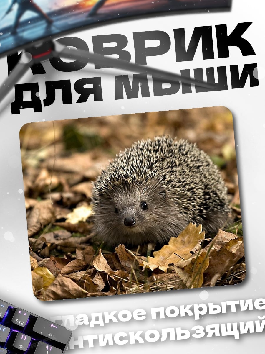 Коврик Ёжик в листьях