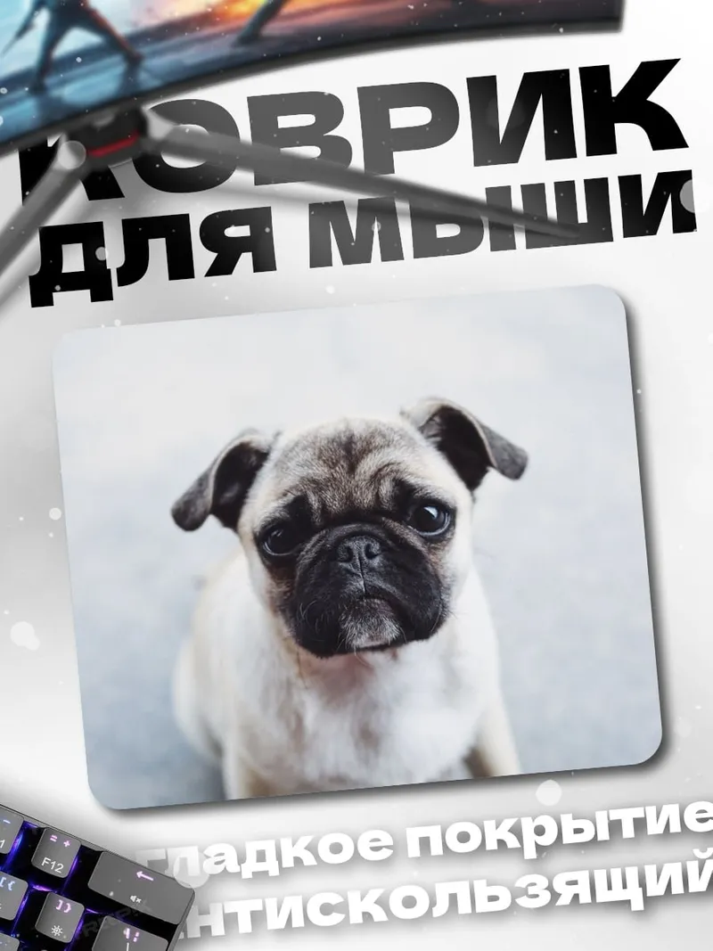 Коврик Мопс смотрит вверх