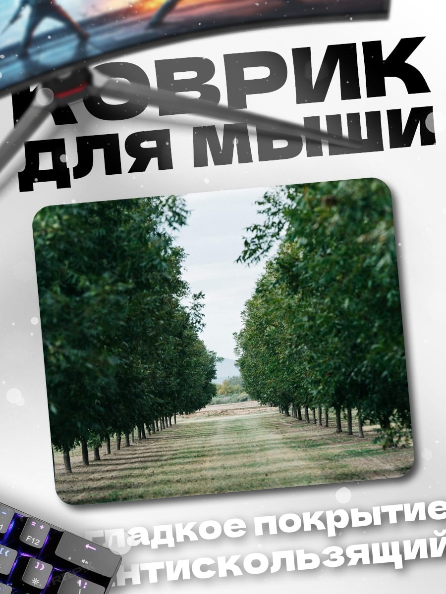 Коврик Аллея деревьев