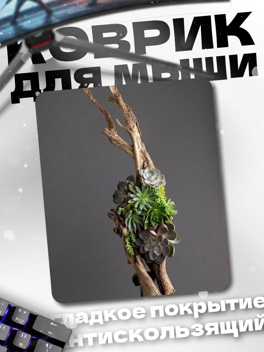 Коврик Суккуленты на коряге