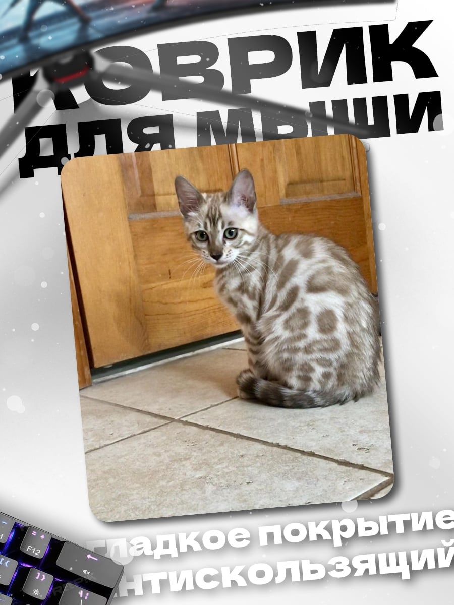Коврик Бенгальский котенок