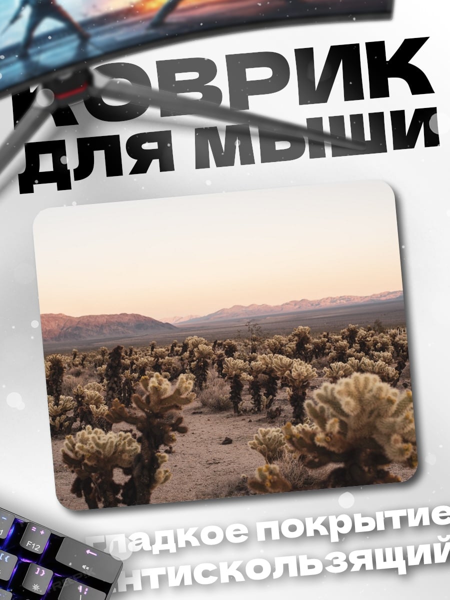 Коврик Пустынный пейзаж кактусы