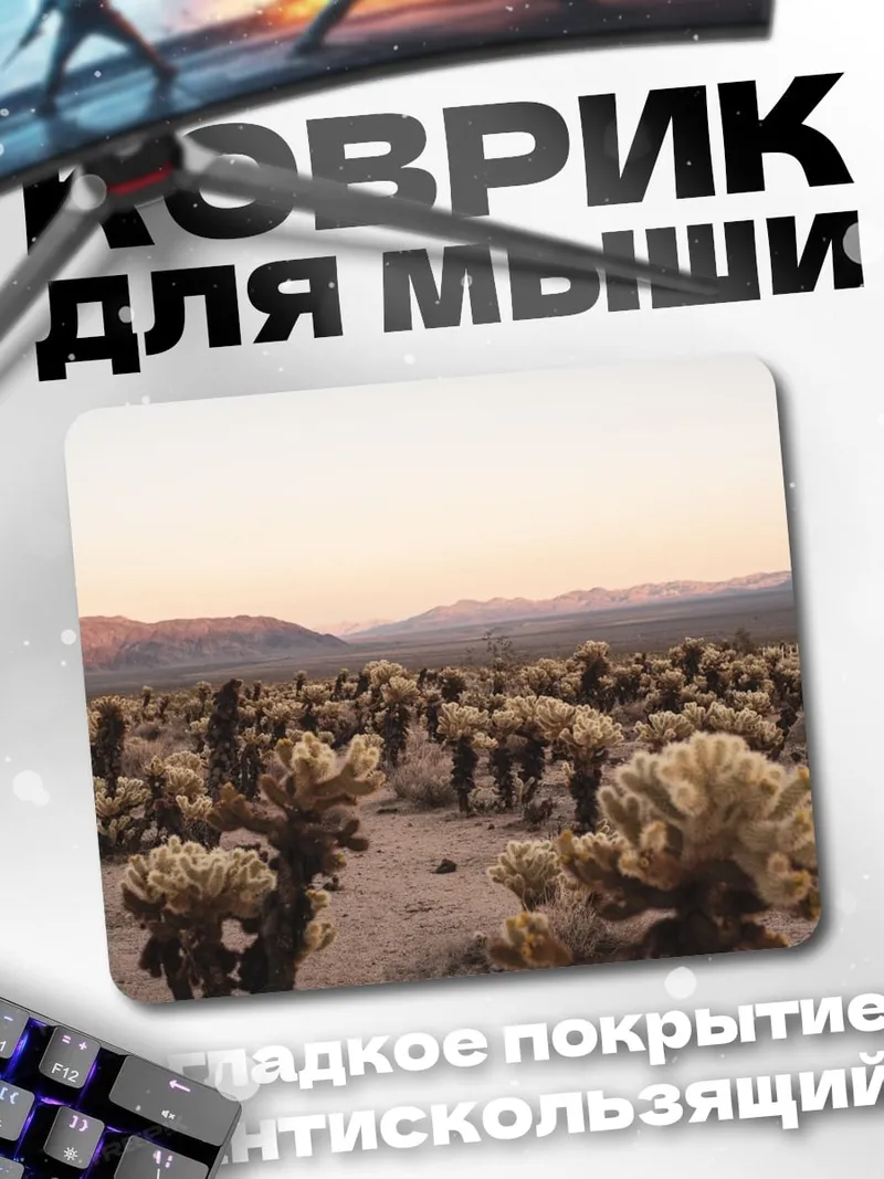 Коврик Пустынный пейзаж кактусы