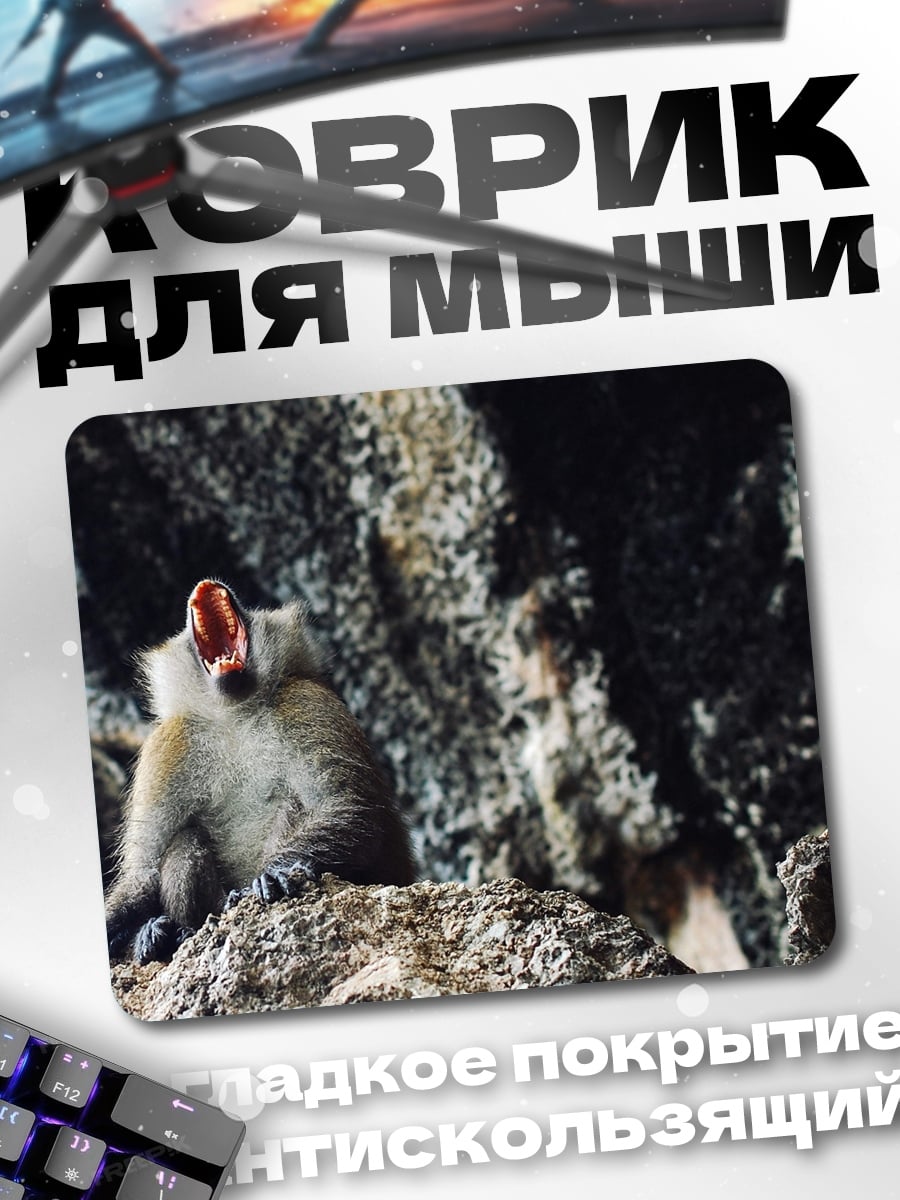 Коврик Обезьяна в пещере