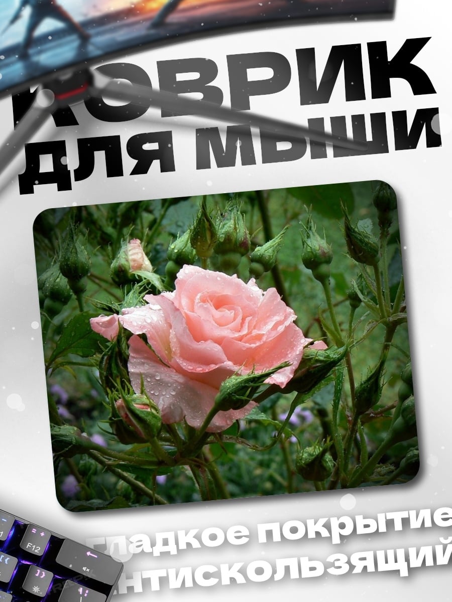 Коврик Нежная розовая роза