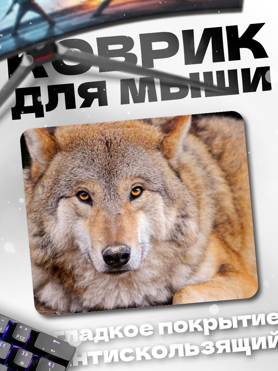 Коврик Крупный план волка