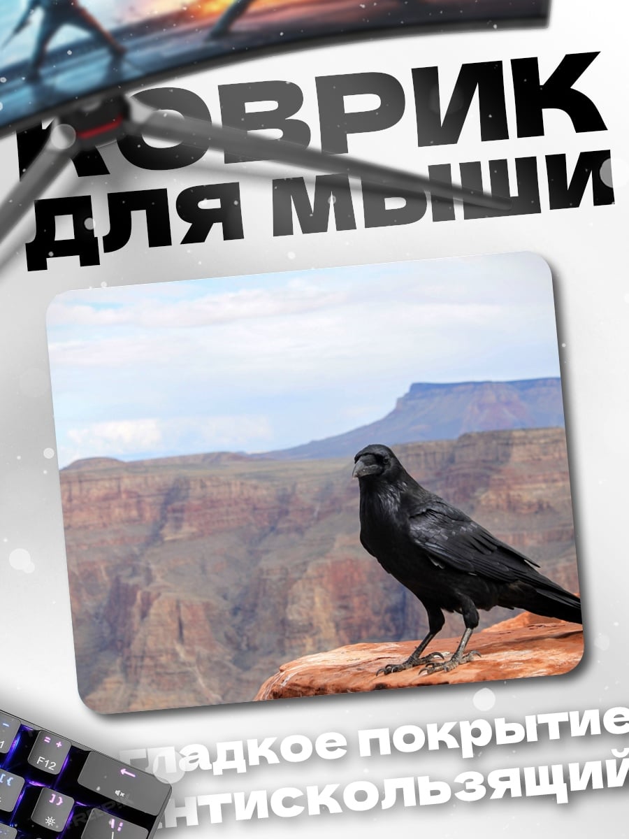 Коврик Ворон на краю