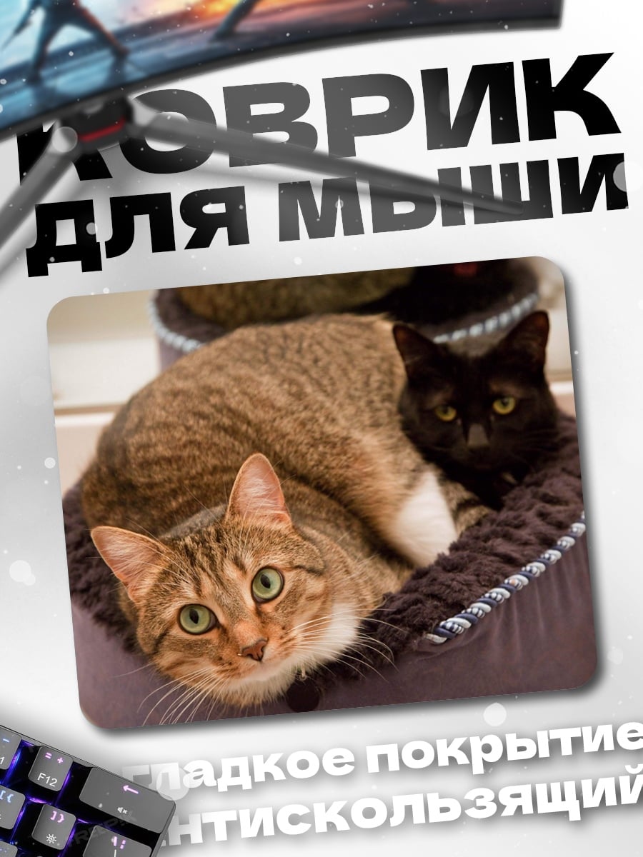 Коврик два кота лежанка