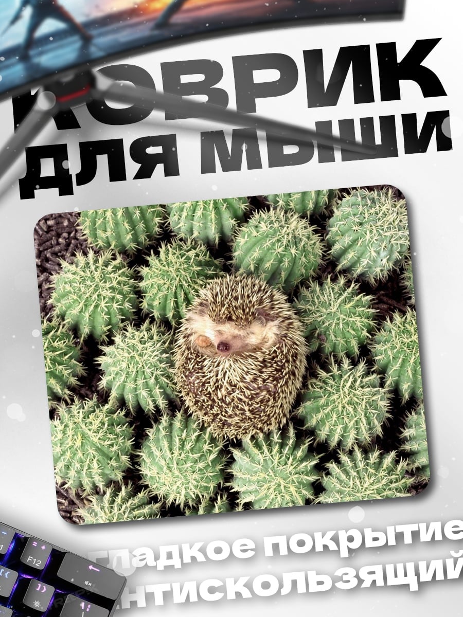 Коврик Ёж среди кактусов