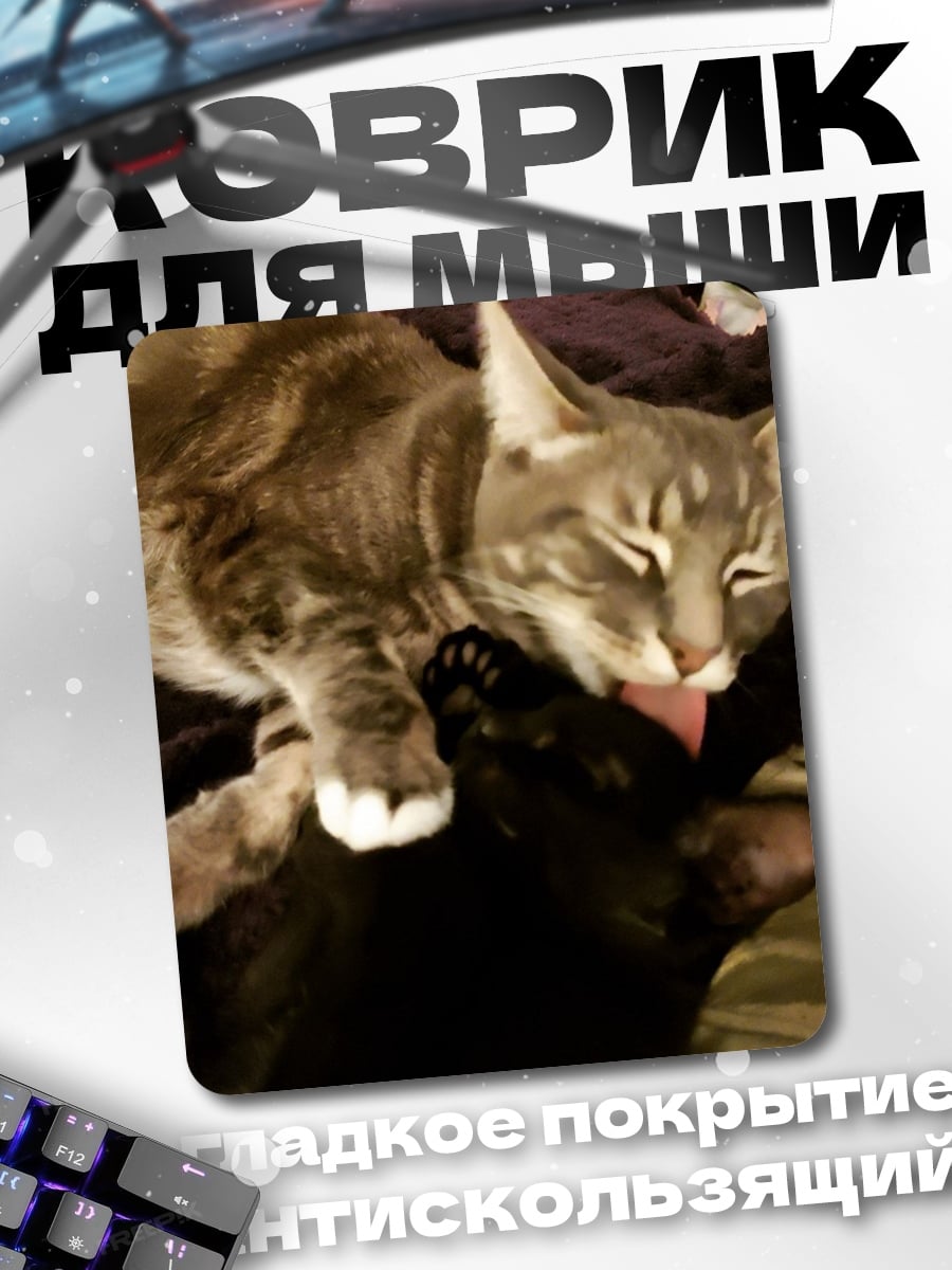 Коврик Два кота