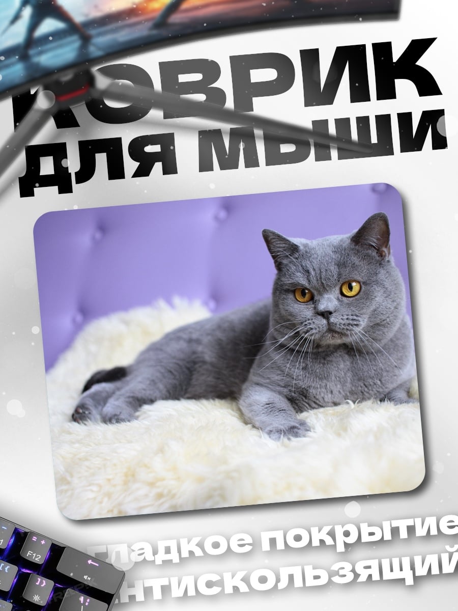 Коврик серый кот лежит