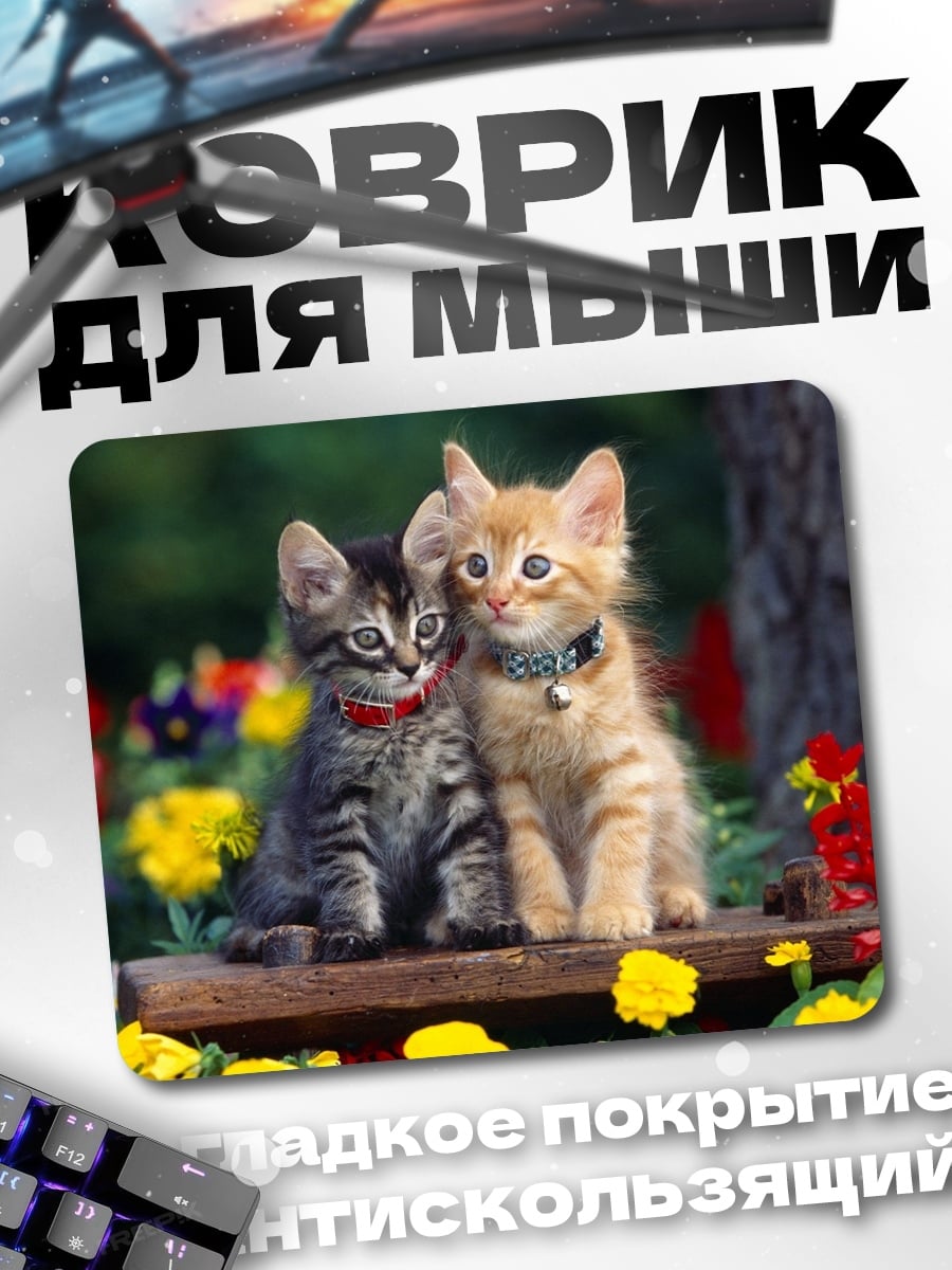Коврик два котенка сидят