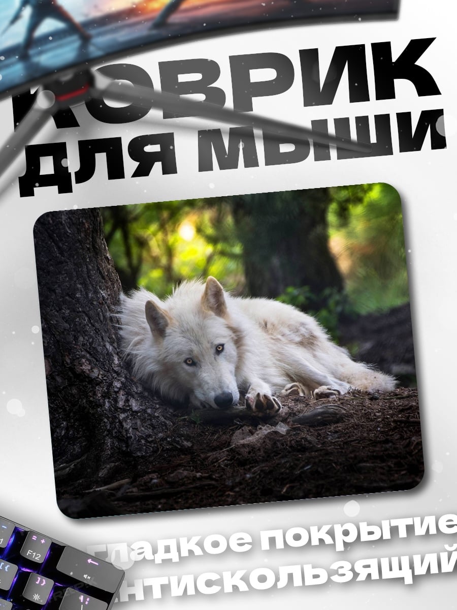 Коврик Белый волк в лесу