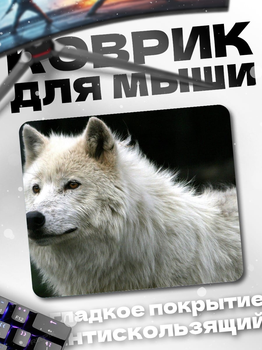 Коврик белый волк смотрит