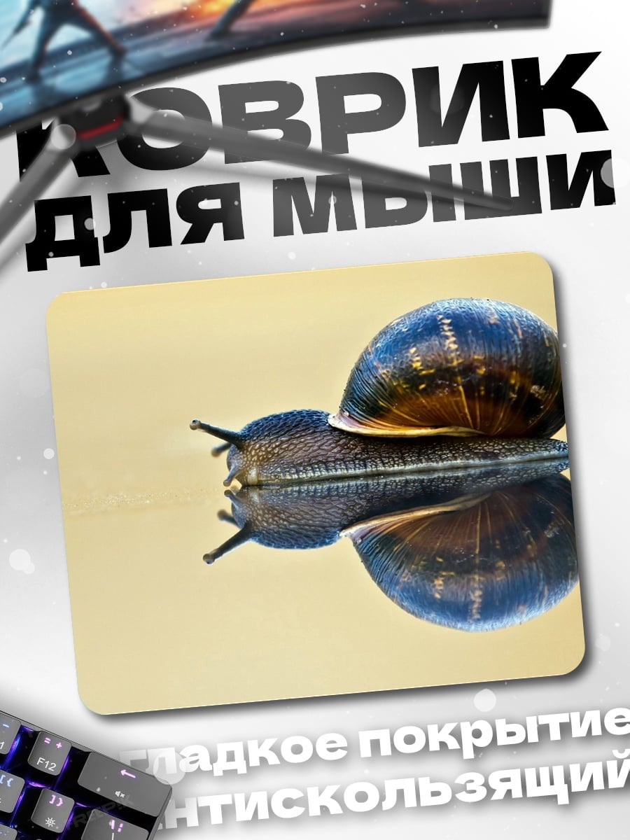 Коврик улитка в отражении