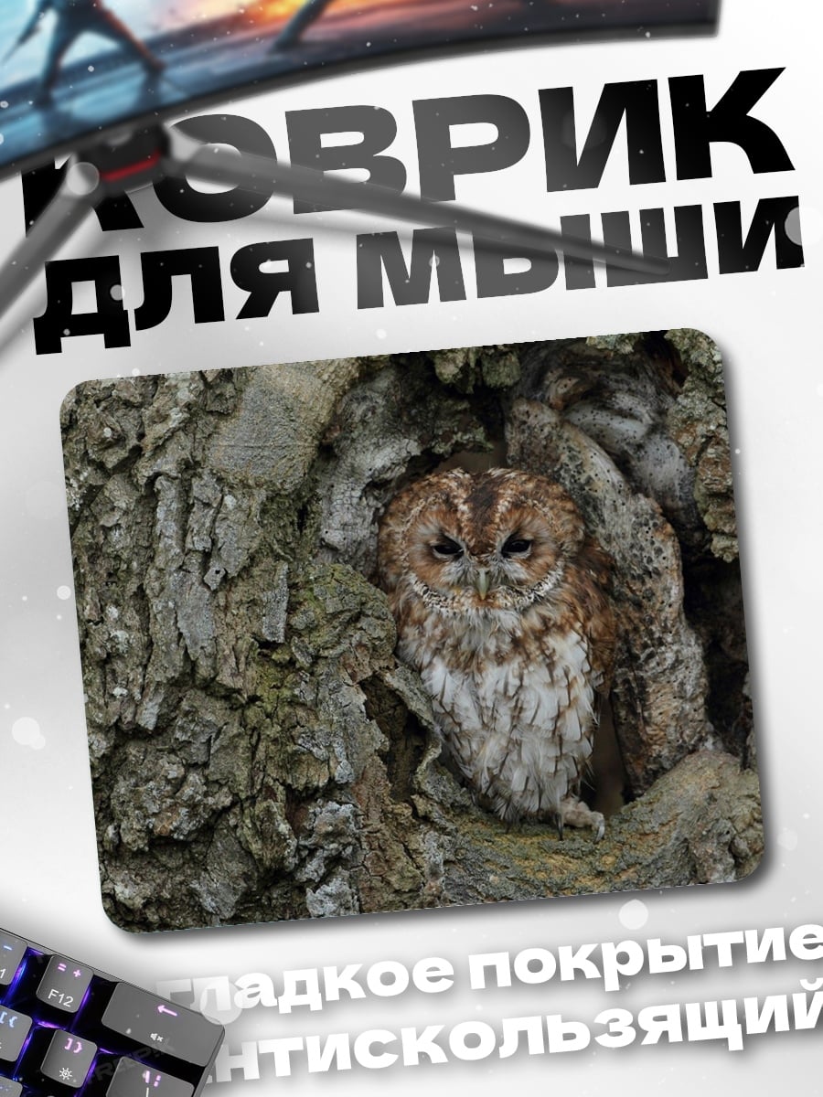 Коврик сова в дупле