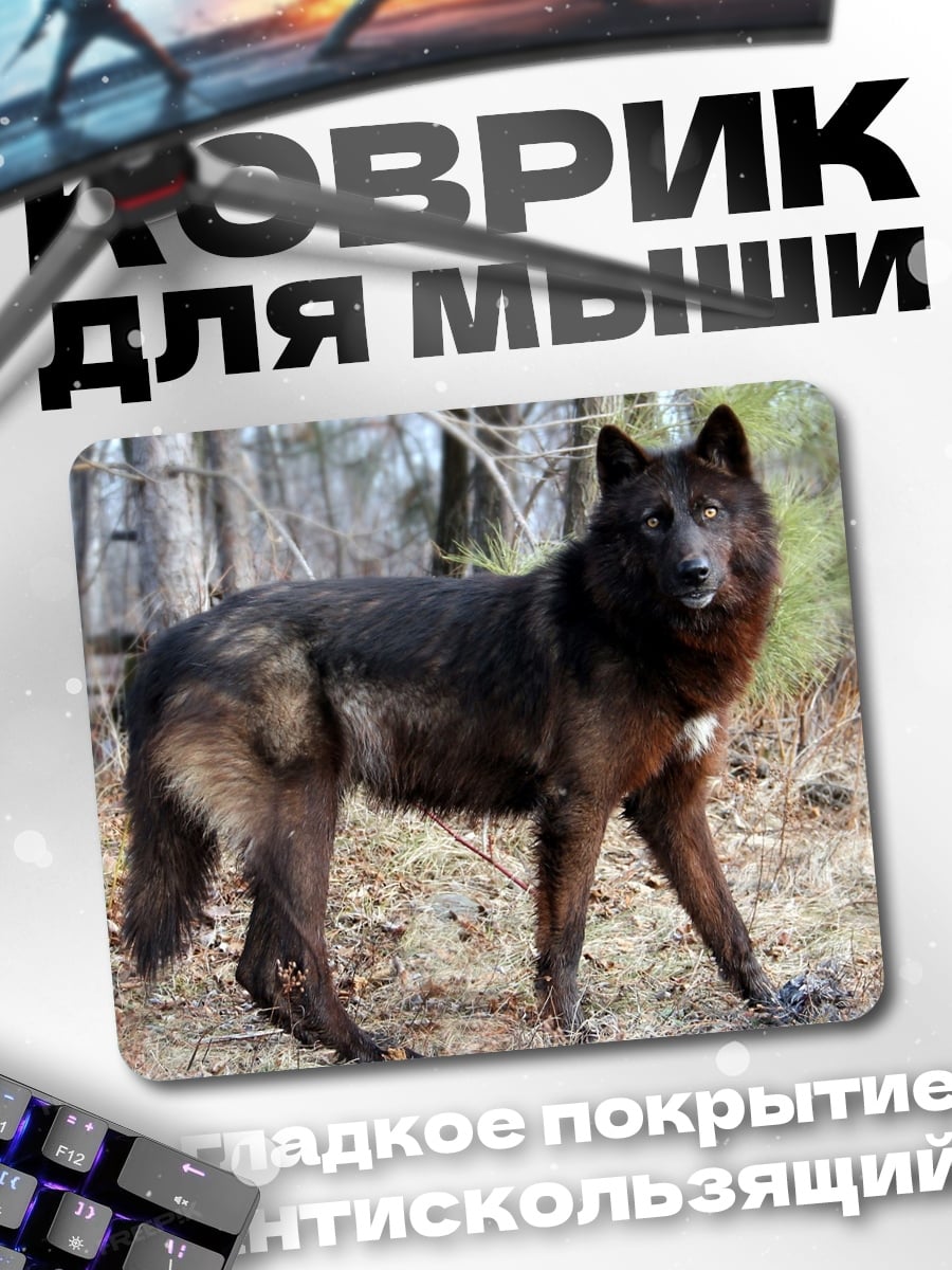 Коврик Черный волк в лесу