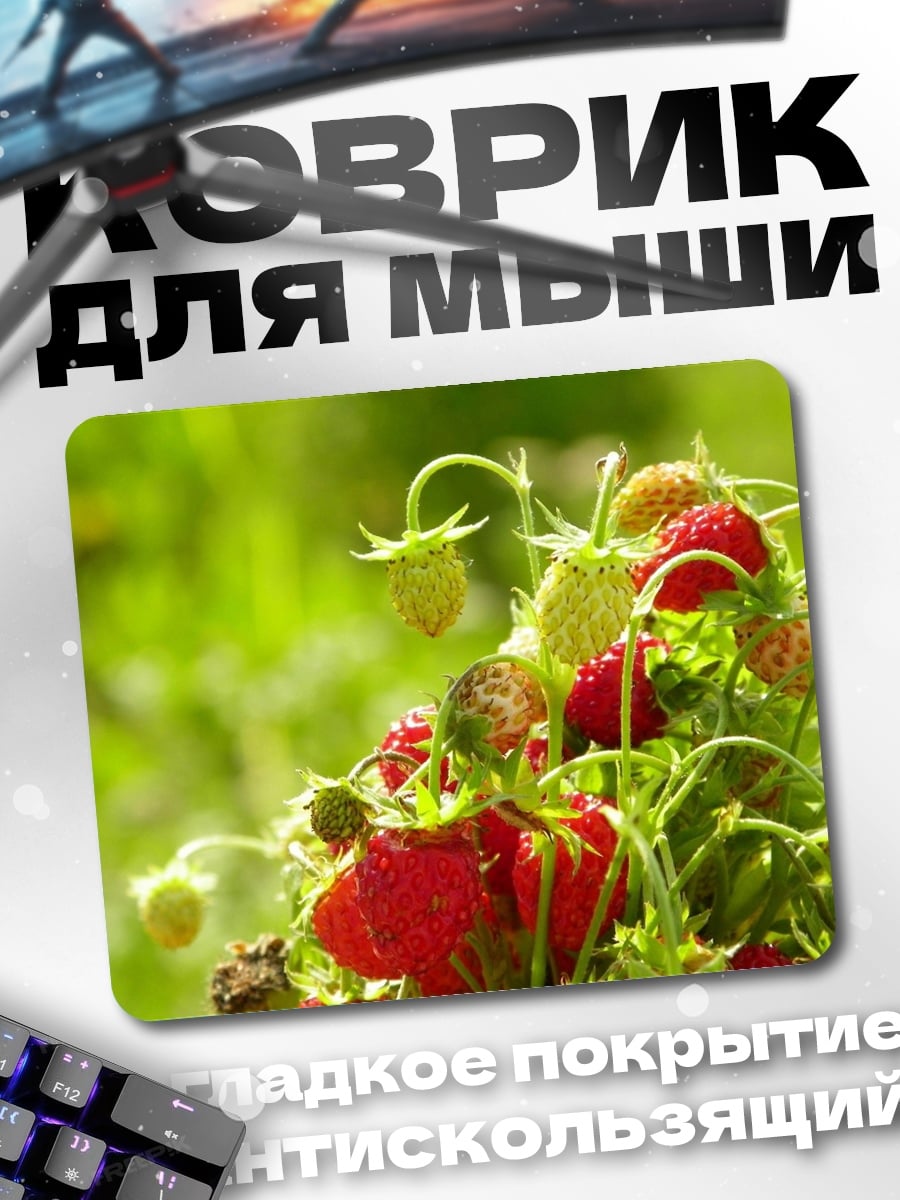 Коврик Клубника на грядке