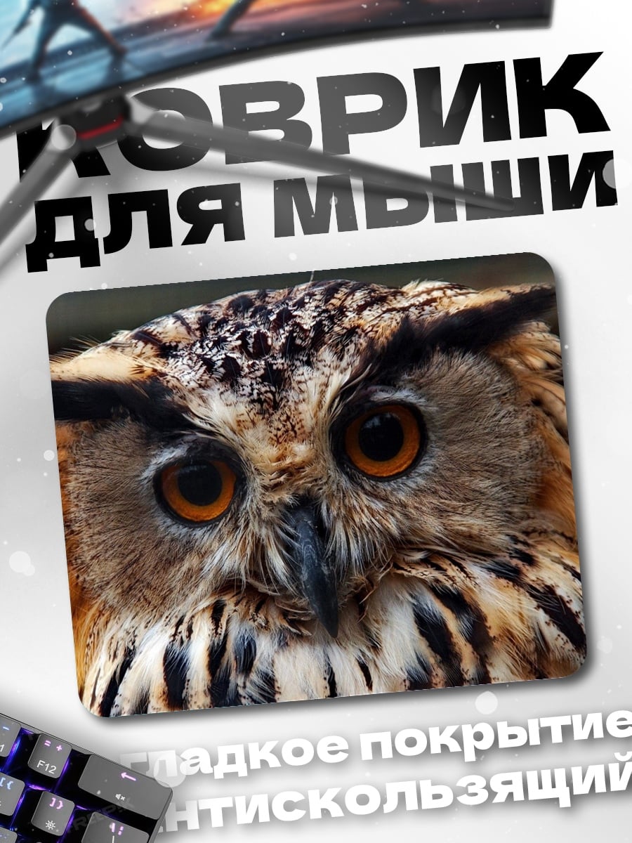 Коврик Крупный план совы