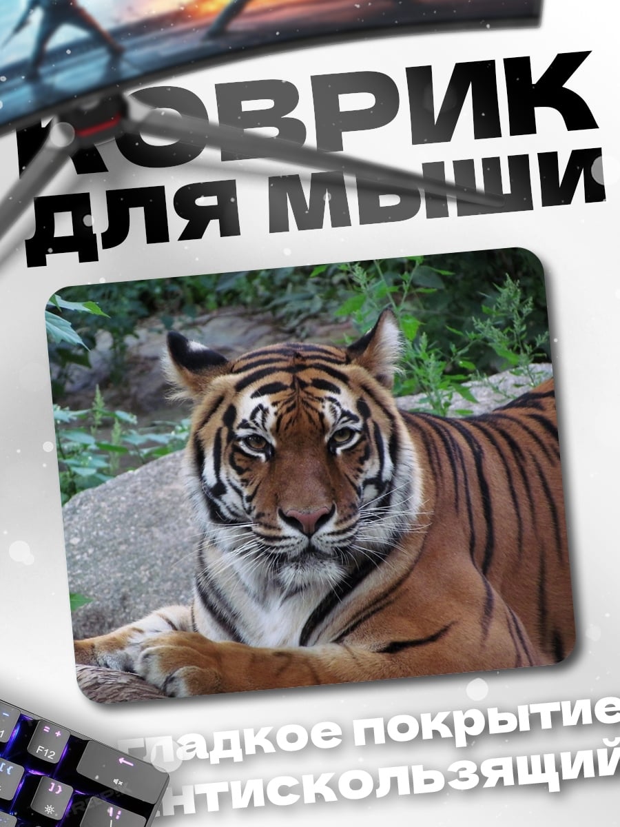 Коврик Тигр в джунглях
