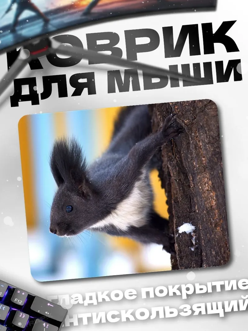 Коврик Чёрная белка на дереве