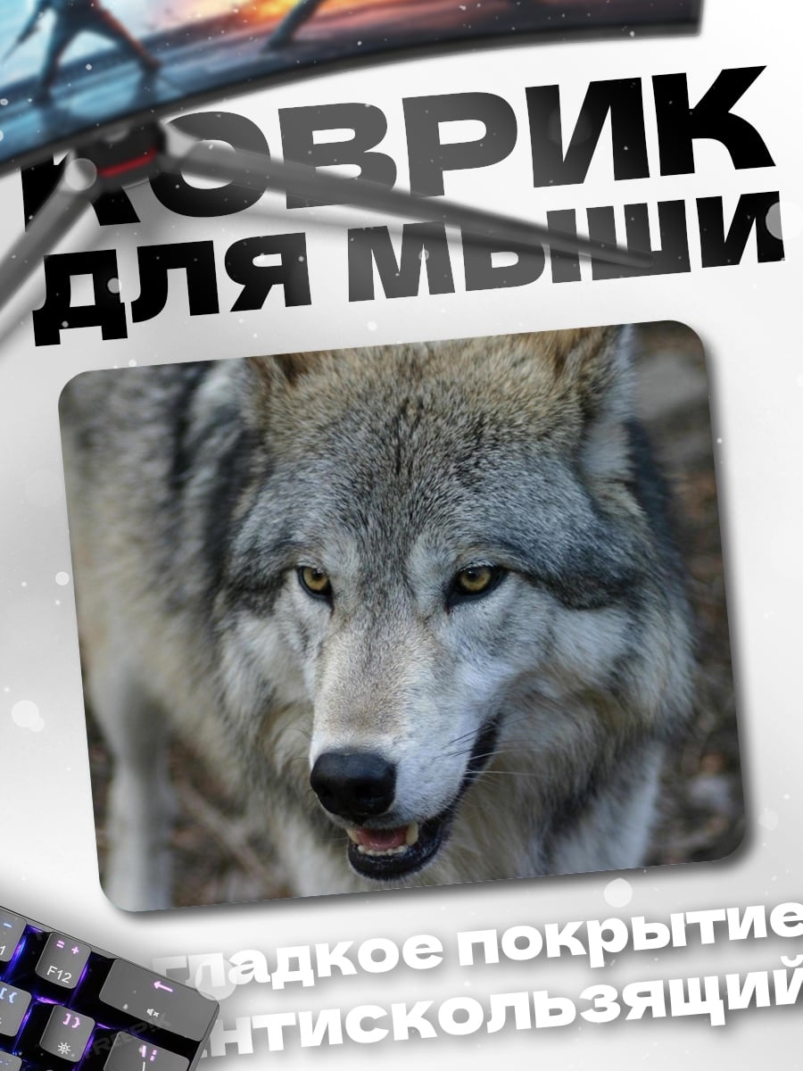 Коврик Волк смотрит в камеру