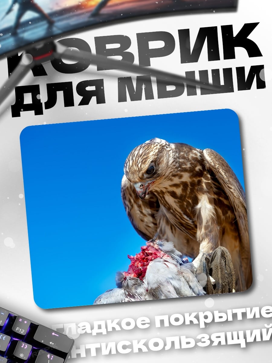 Коврик Хищная птица
