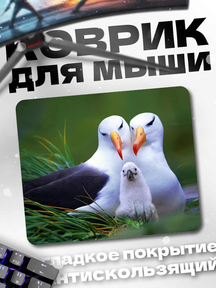 Коврик семья альбатросов