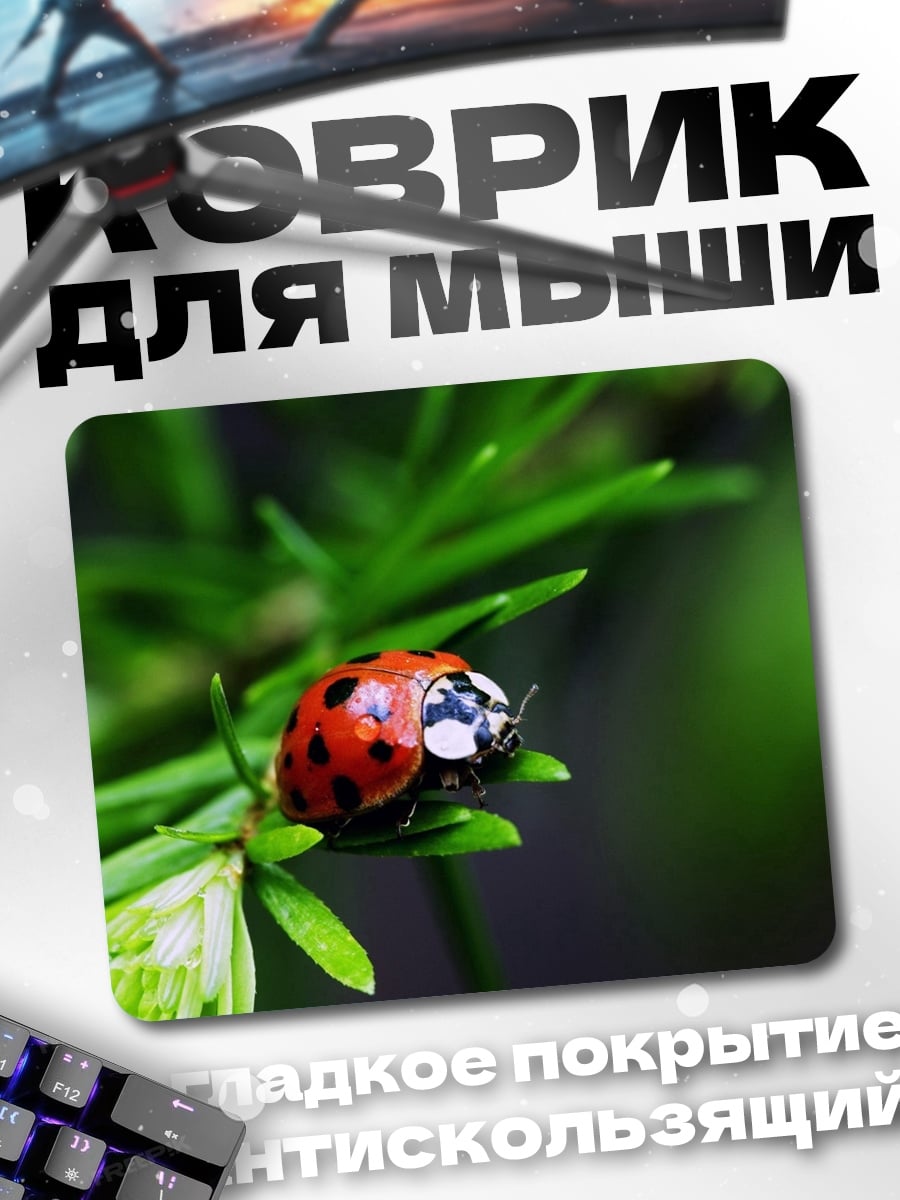 Коврик Божья коровка на ветке