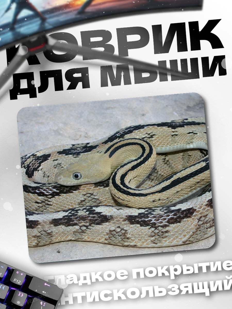 Коврик Змея в узорах