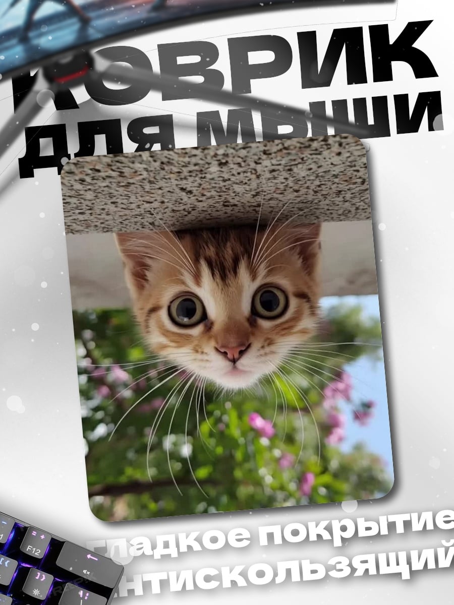 Коврик Любопытный котенок