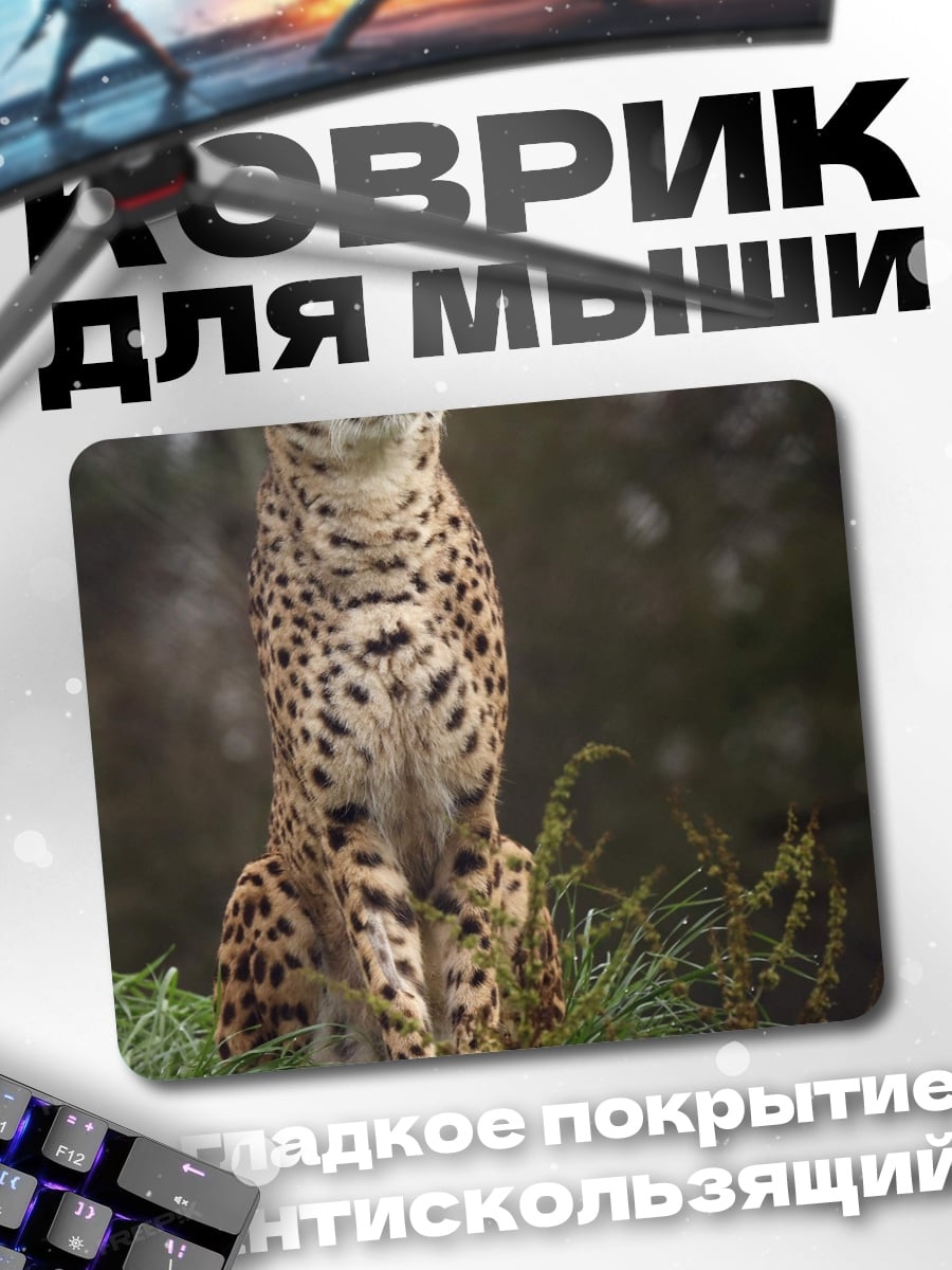 Коврик Гепард на охоте